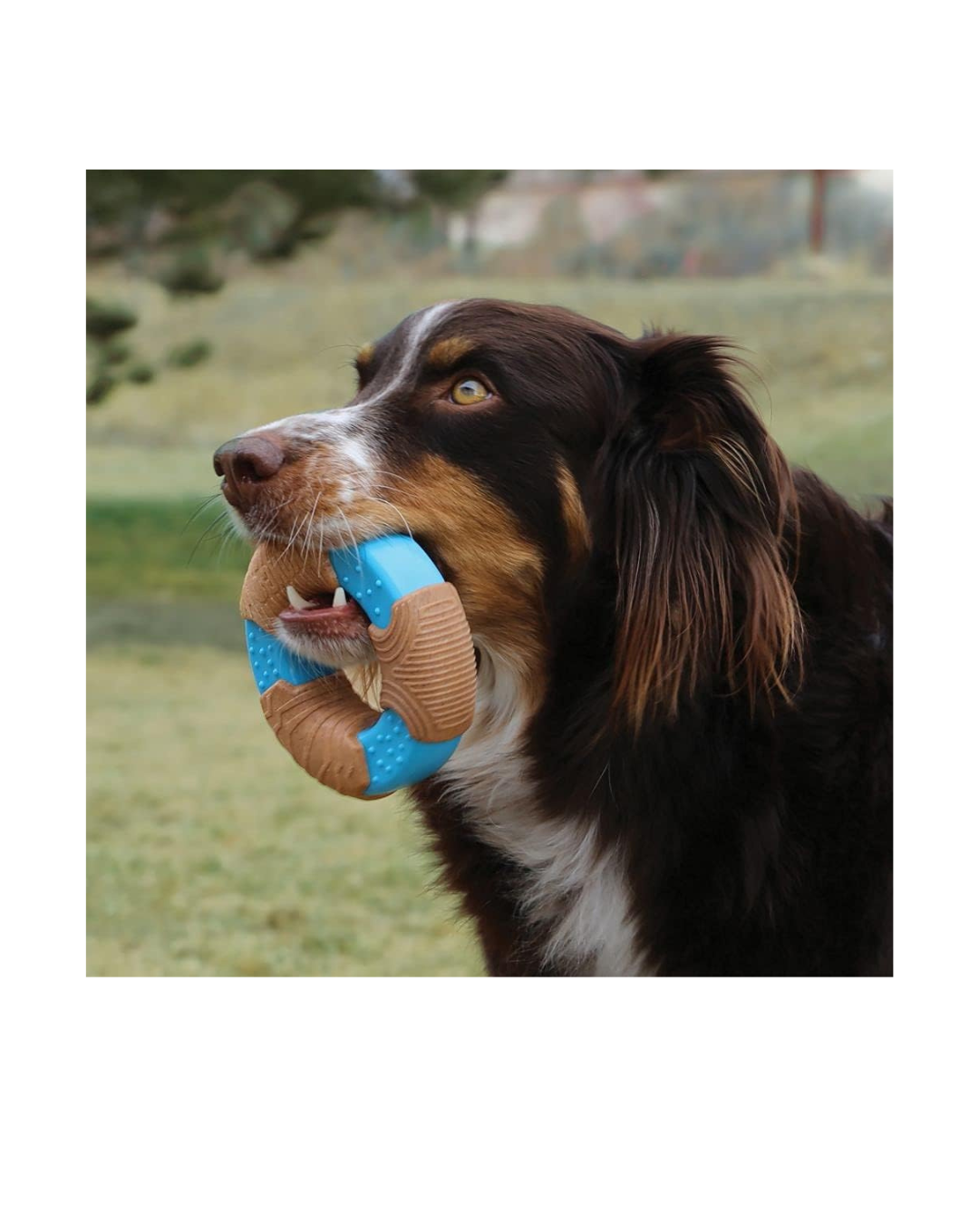 KONG - CoreStrenght Bamboo Bone Large