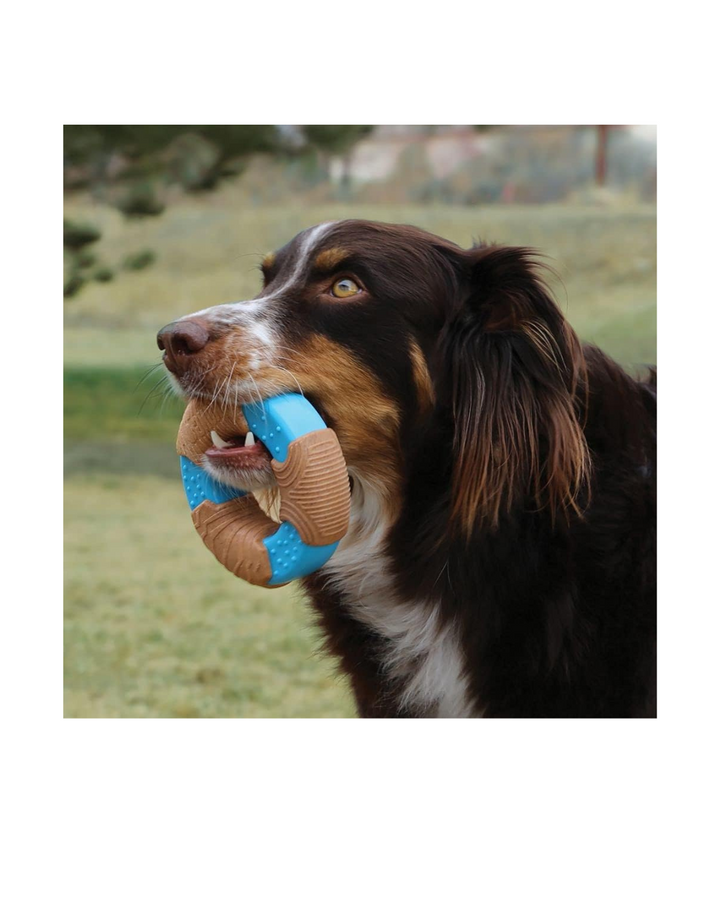 KONG - CoreStrenght Bamboo Bone Large