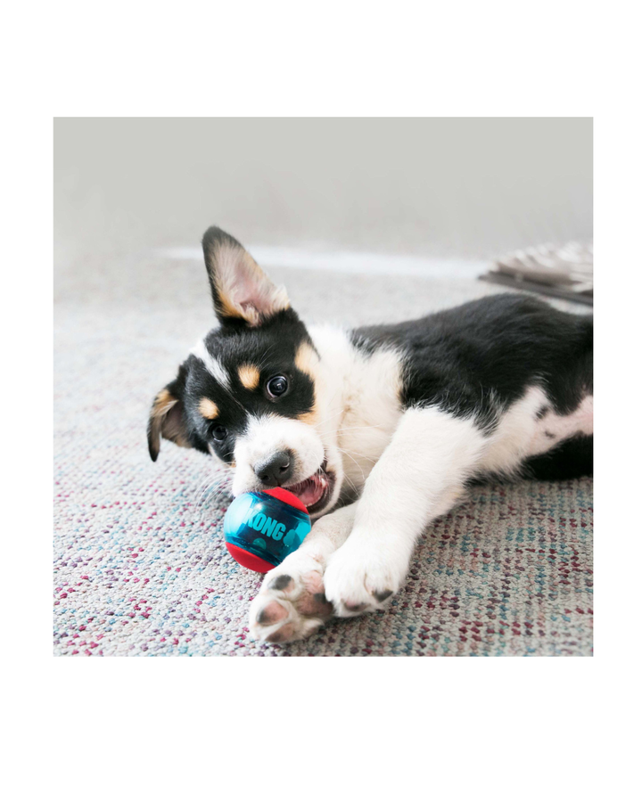 KONG - Squeezz Action Ball Red Large