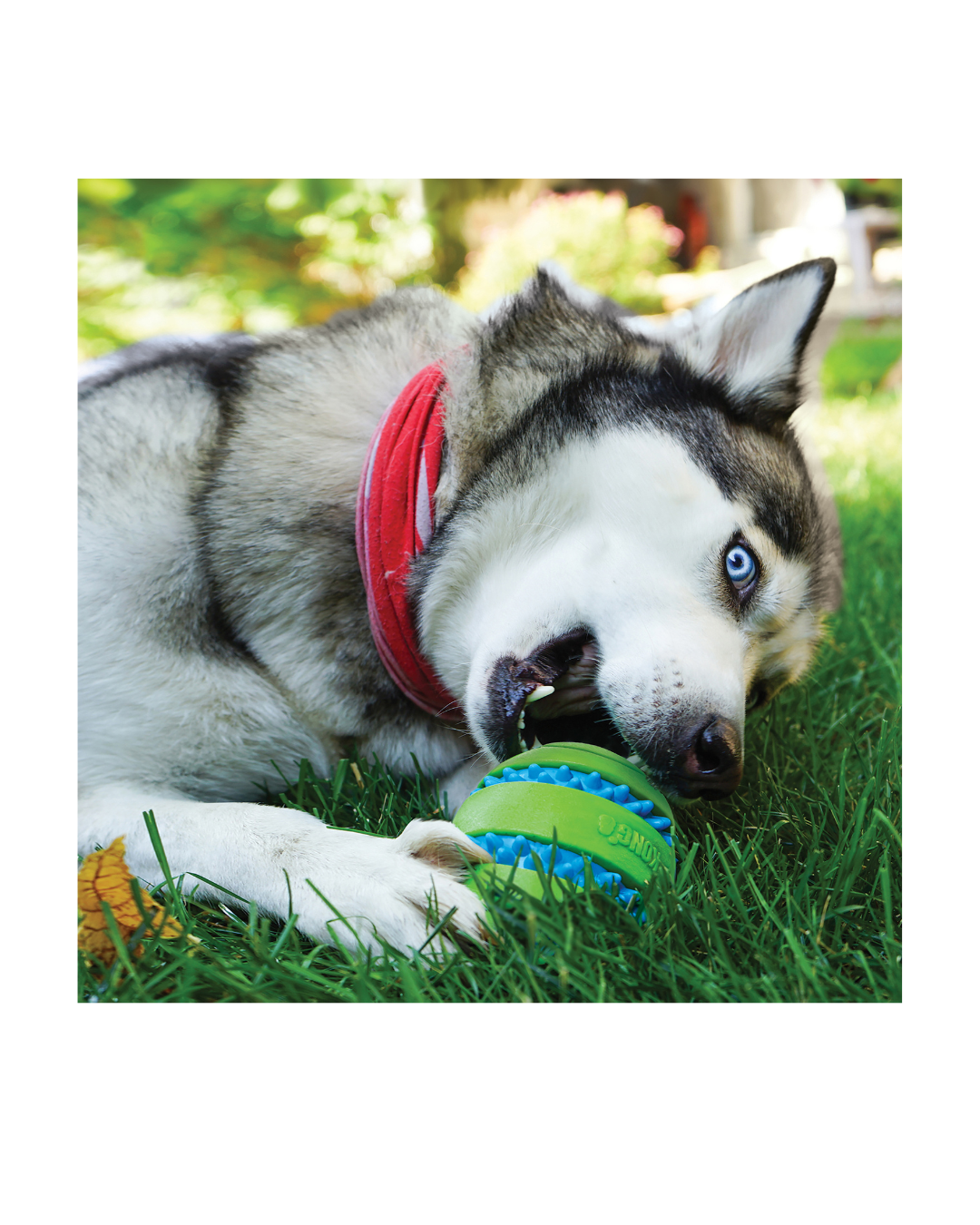 KONG - Squeezz Goomz Ball Medium