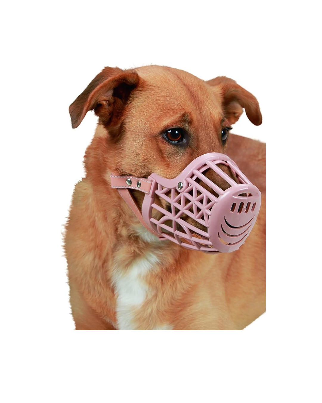 Kerbl - Museruola in Plastica Beige 24cm Circonferenza Muso