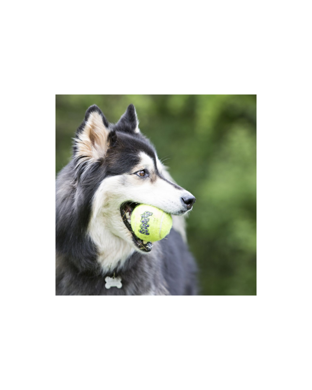 Kong - Medium Squeaker Tennis Balls 3pz