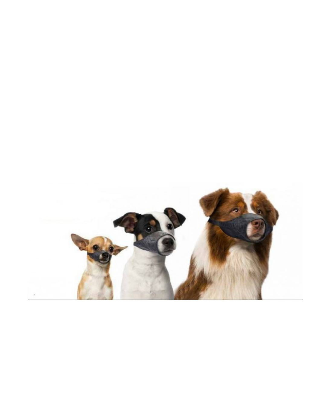 Leopet - Museruola Regolabile in Nylon XL - Nero