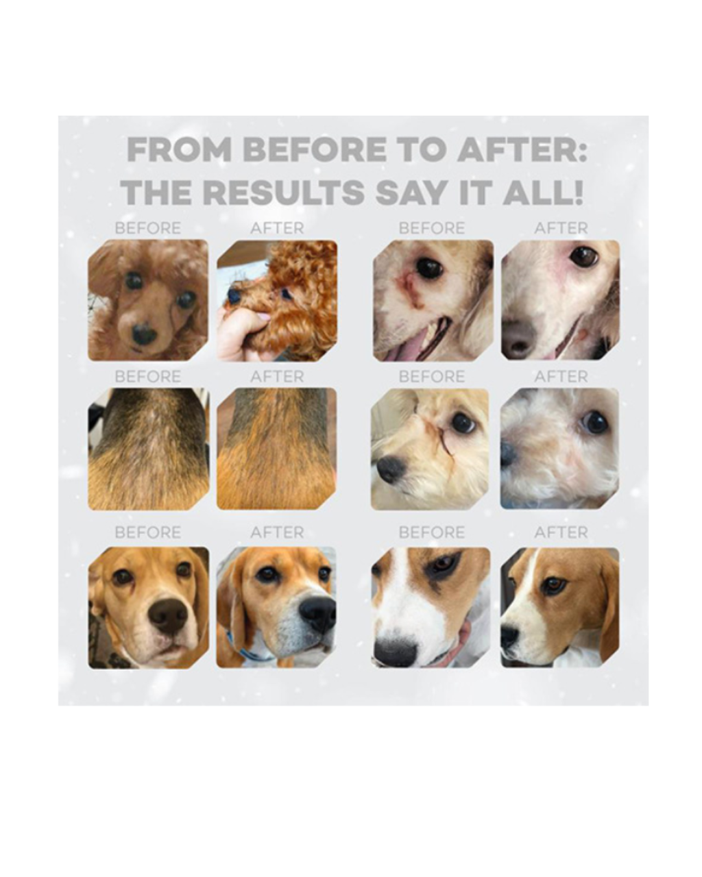 Nature's Protection - Superior Care Red Coat Dog Grain Free - Adult Small Breed - Salmone 10kg