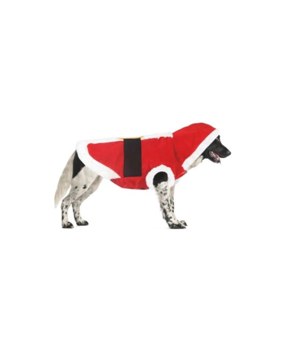 Record - Cappottino Babbo Natale XXXS 20cm (Lunghezza Dorso)