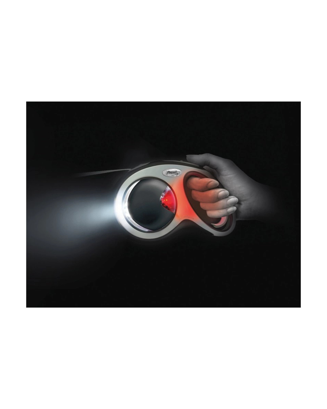 Record - Flexi Led Light Luce per Guinzaglio