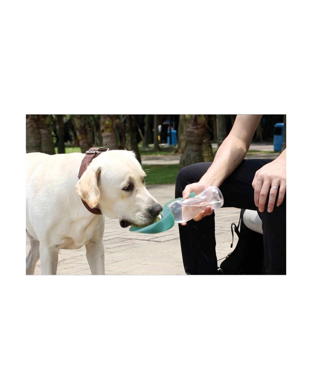 Record - Wave Borraccia per Acqua - 500 ml Diametro 28 mm