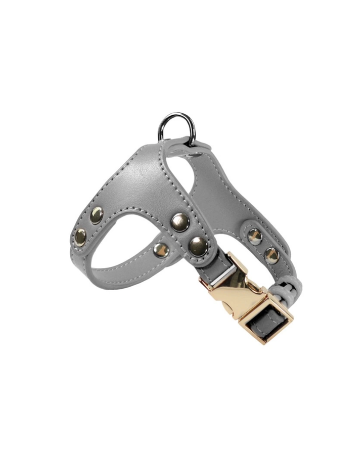 Record London Pettorina in Similpelle 1,5x23,5    23,5-31cm