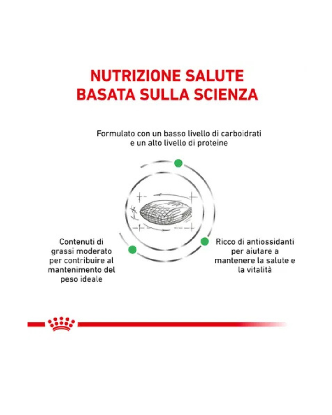 Royal Canin Veterinary Healt Nutrition Gatto - Diabetic 1,5 kg