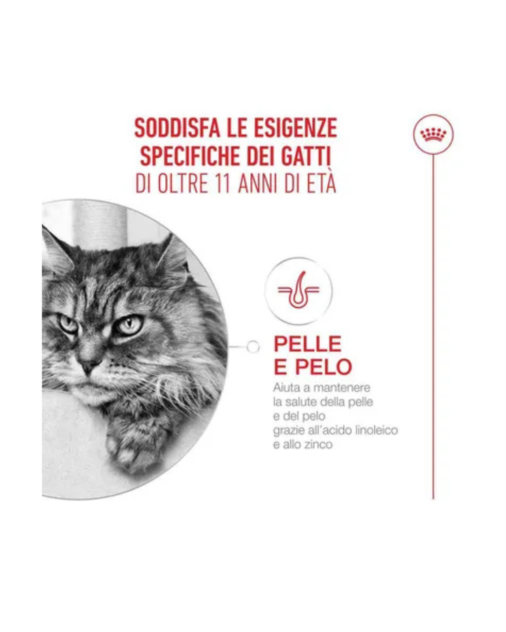 Royal Canin - FHN Ageing 11+Gravy 85gr