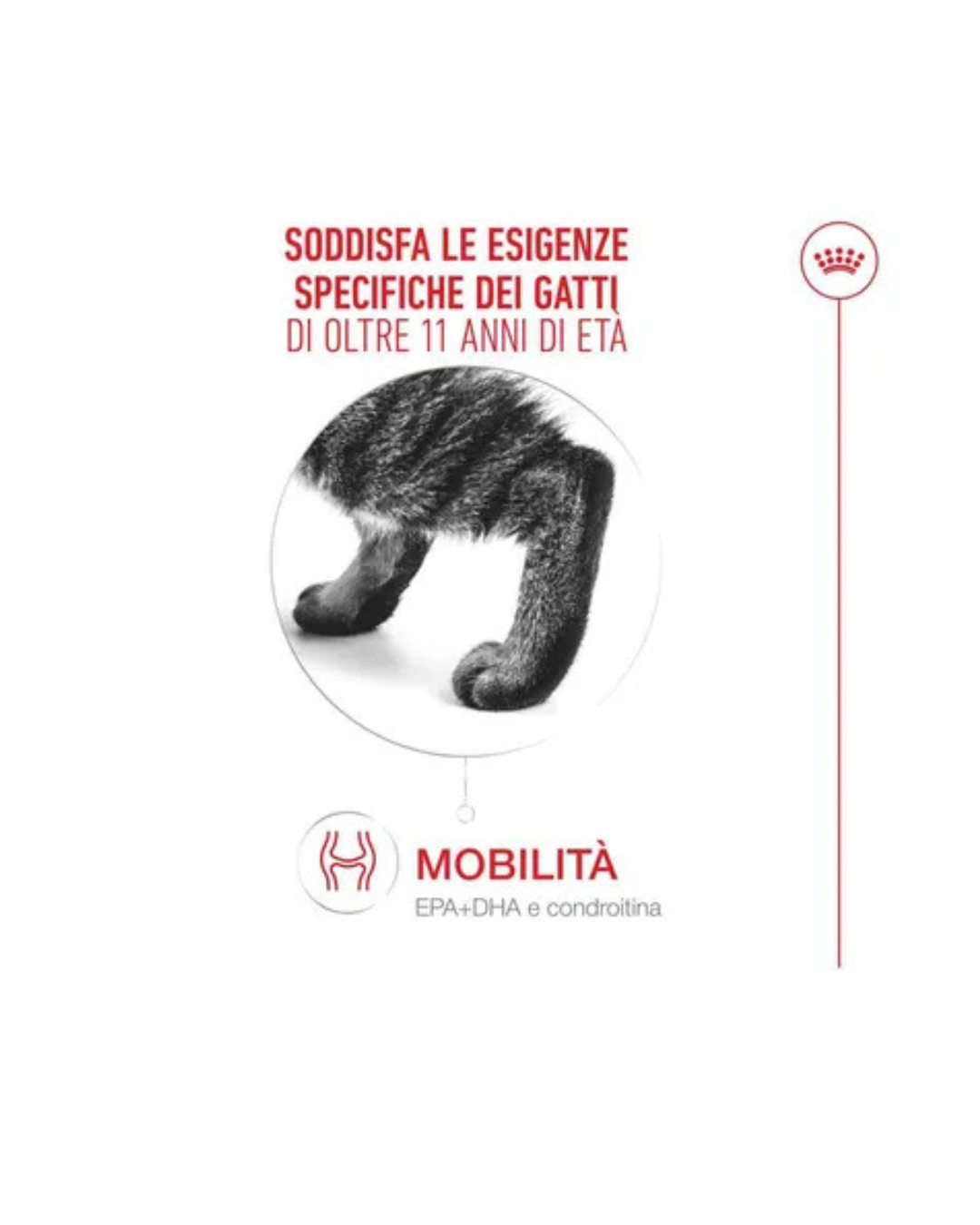 Royal Canin - FHN Ageing 11+Gravy 85gr