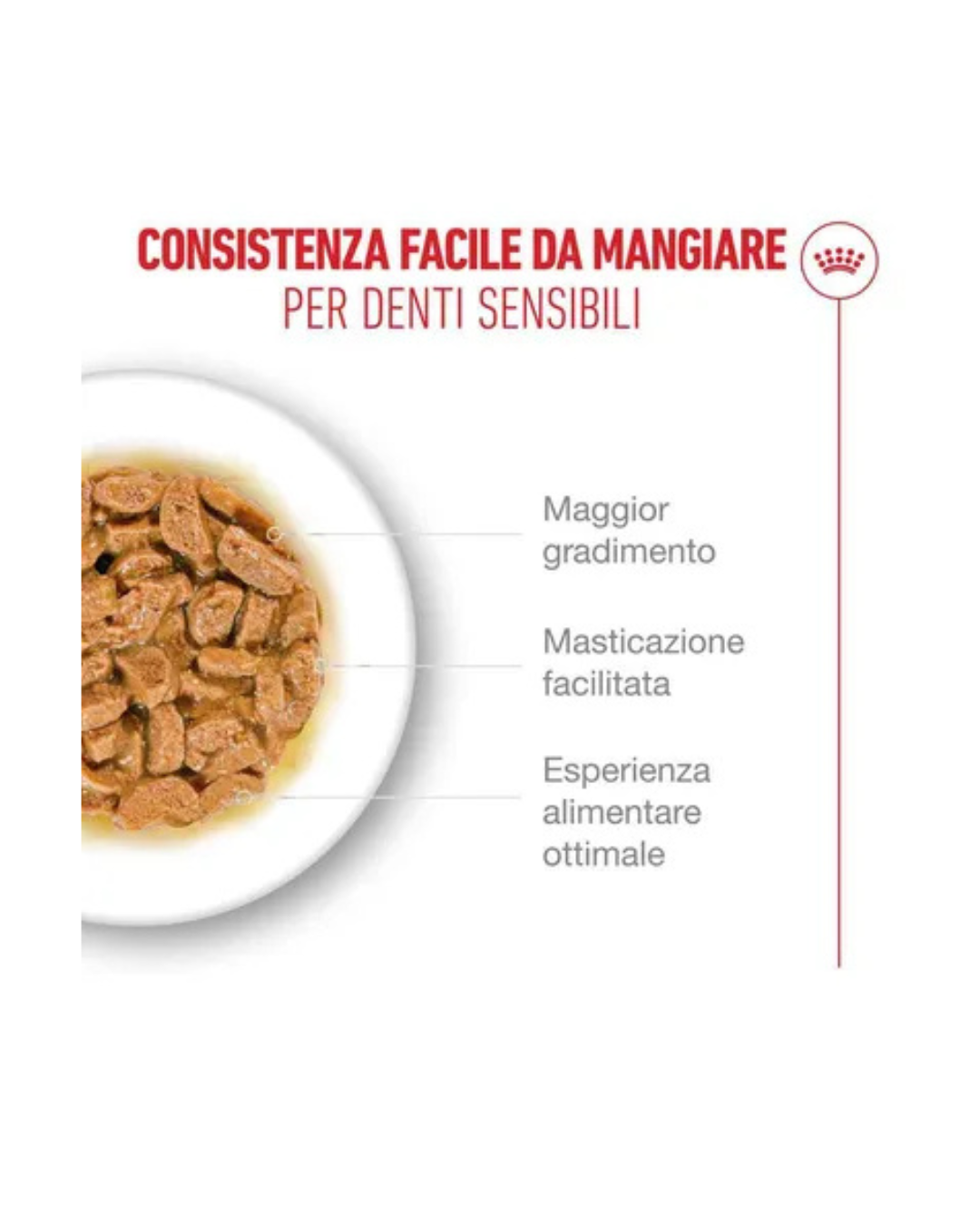 Royal Canin - FHN Ageing 11+Gravy 85gr