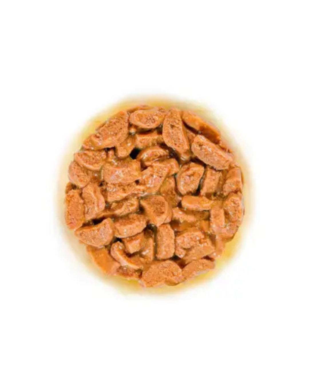 Royal Canin - FHN Ageing 15+ Gravy 85gr