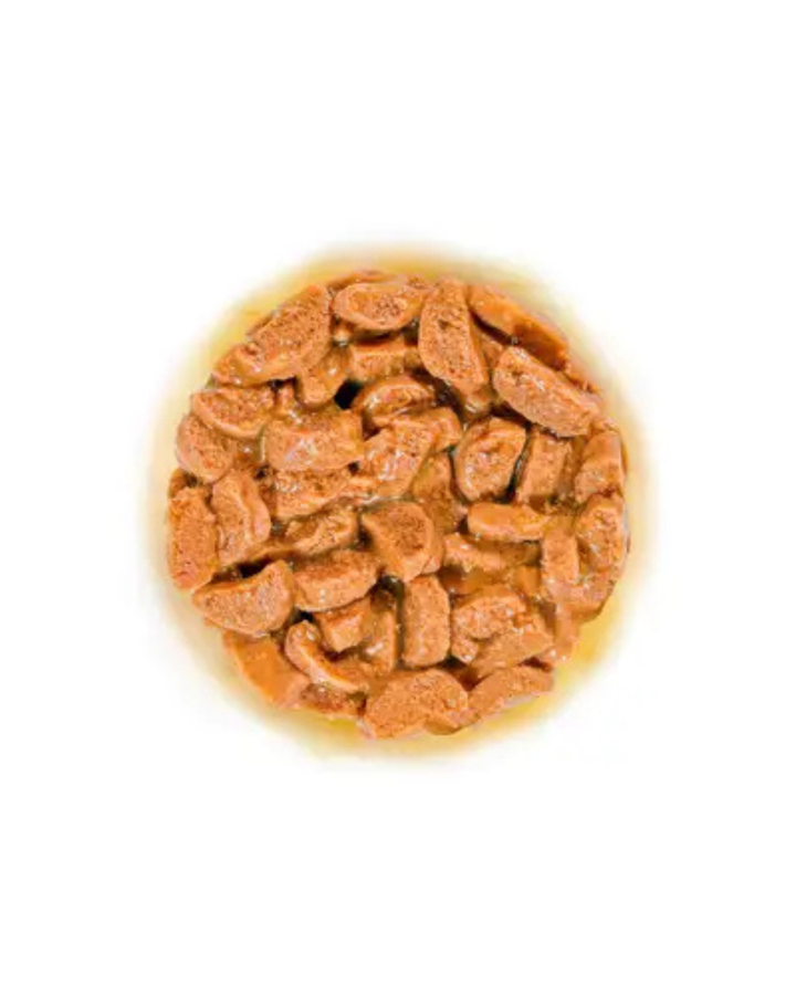 Royal Canin - FHN Ageing 15+ Gravy 85gr