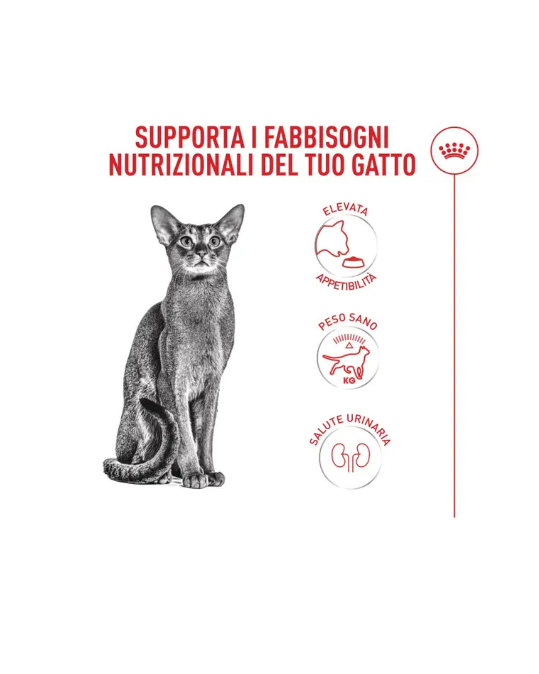 Royal Canin - Fussy Cat Exigent 2kg