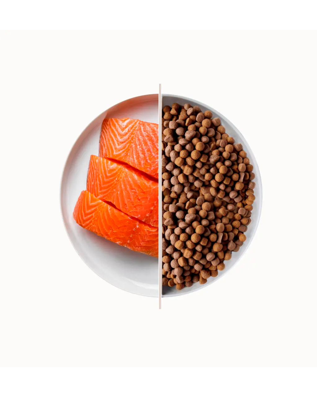 Top - Salmone 10kg