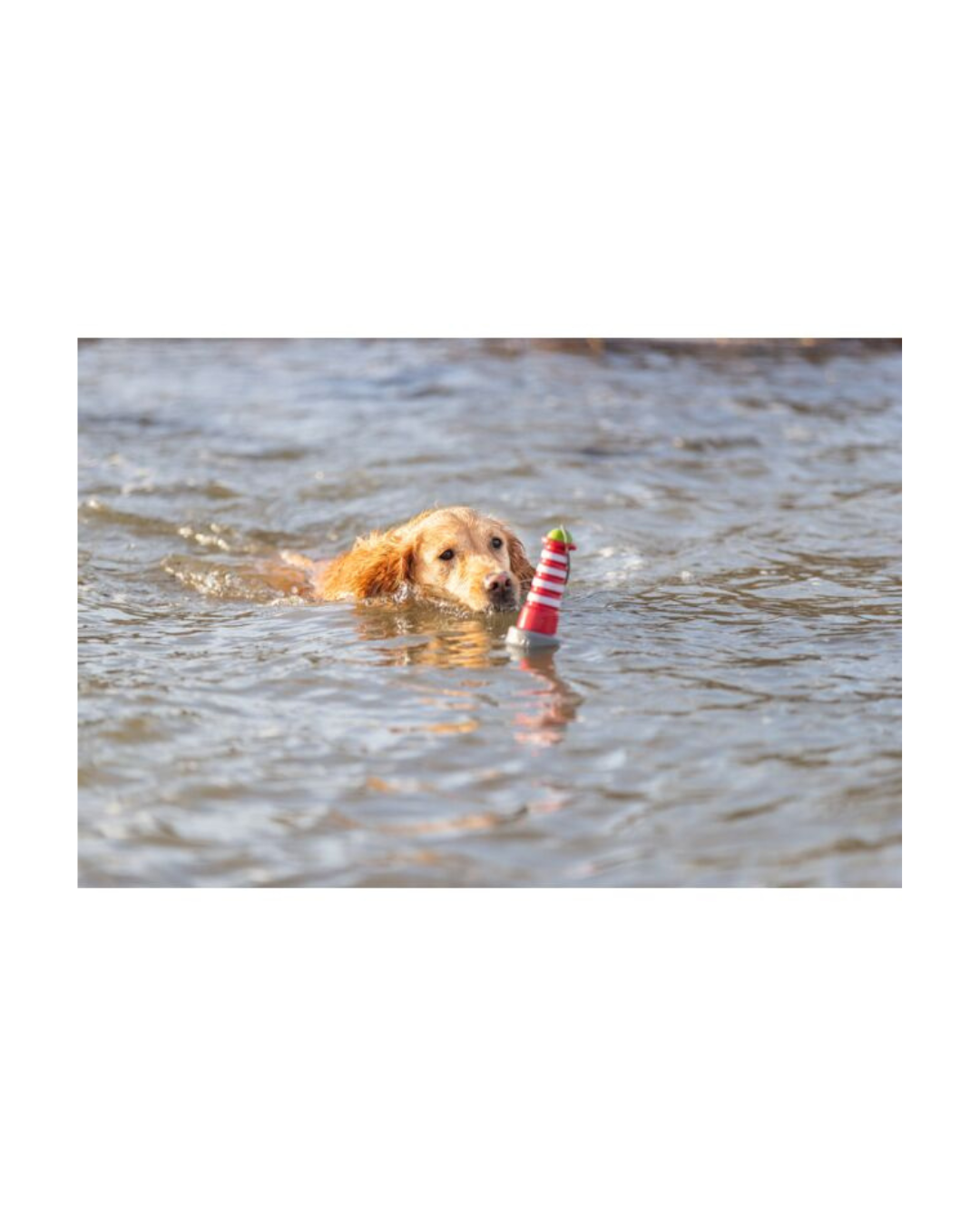 Trixie - Acqua Toy Faro cn Corda 20 cm, in TPR