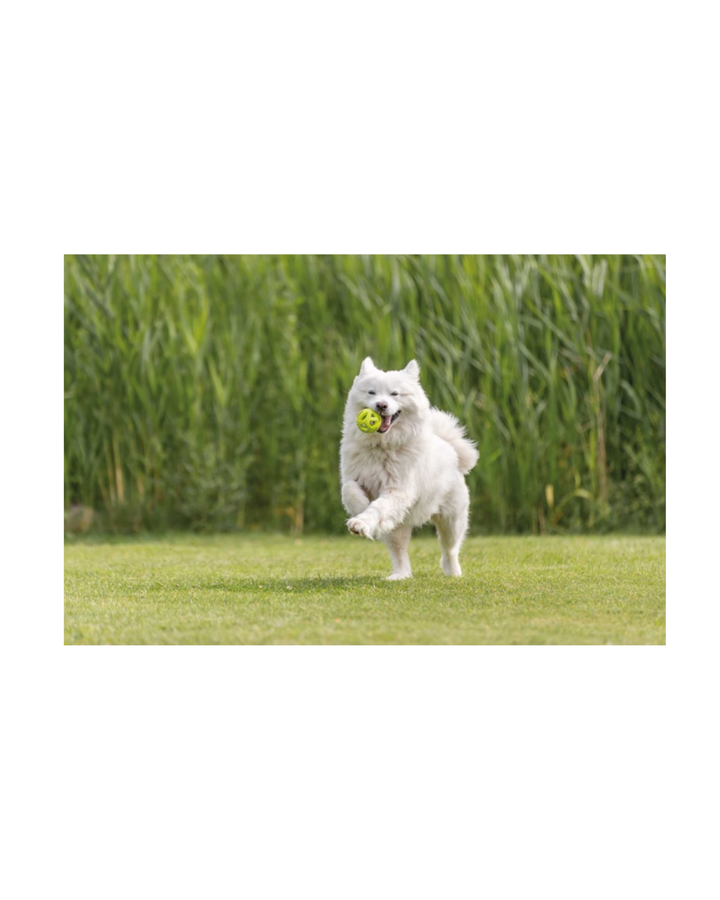 Trixie - Acqua toy Palla da Rugby