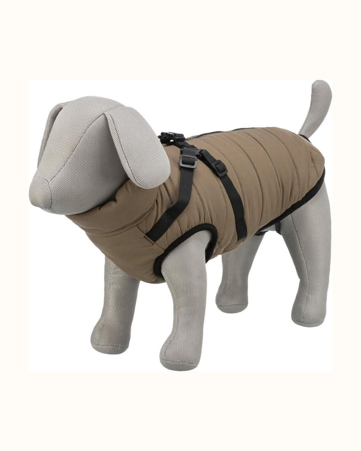 Trixie - Cappotto per Cani Pirou 36cm
(Lunghezza Dorso)