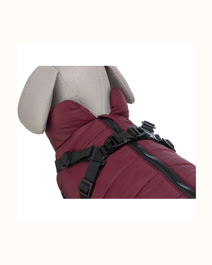 Trixie - Cappottino per Cani Pirou  45cm (Lunghezza Dorso)