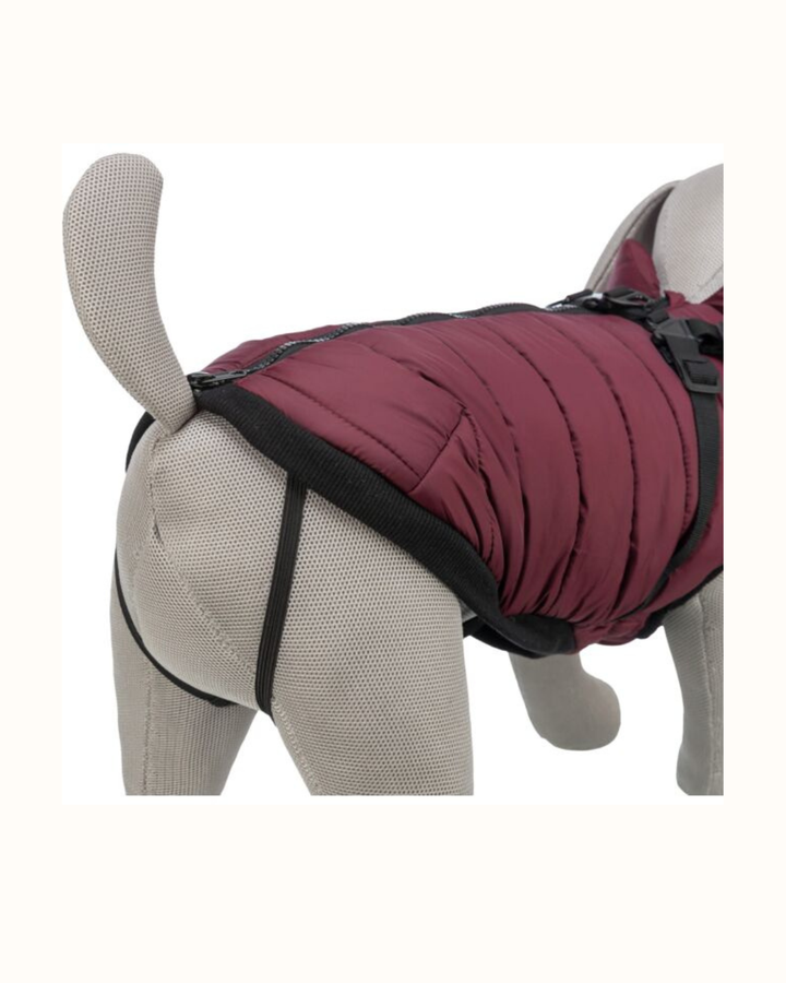 Trixie - Cappottino per Cani Pirou  45cm (Lunghezza Dorso)