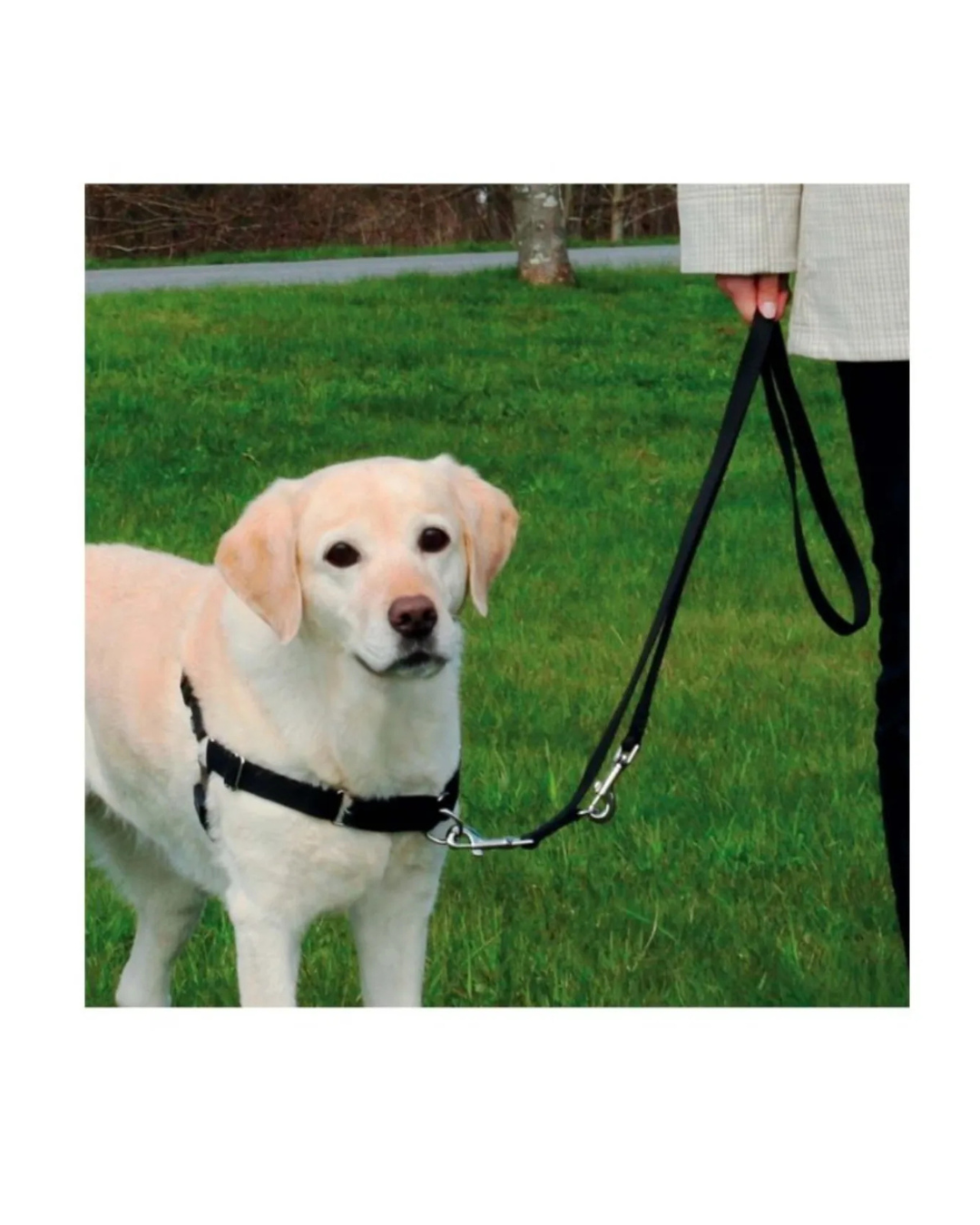 Trixie - Easy Walk Professional - L