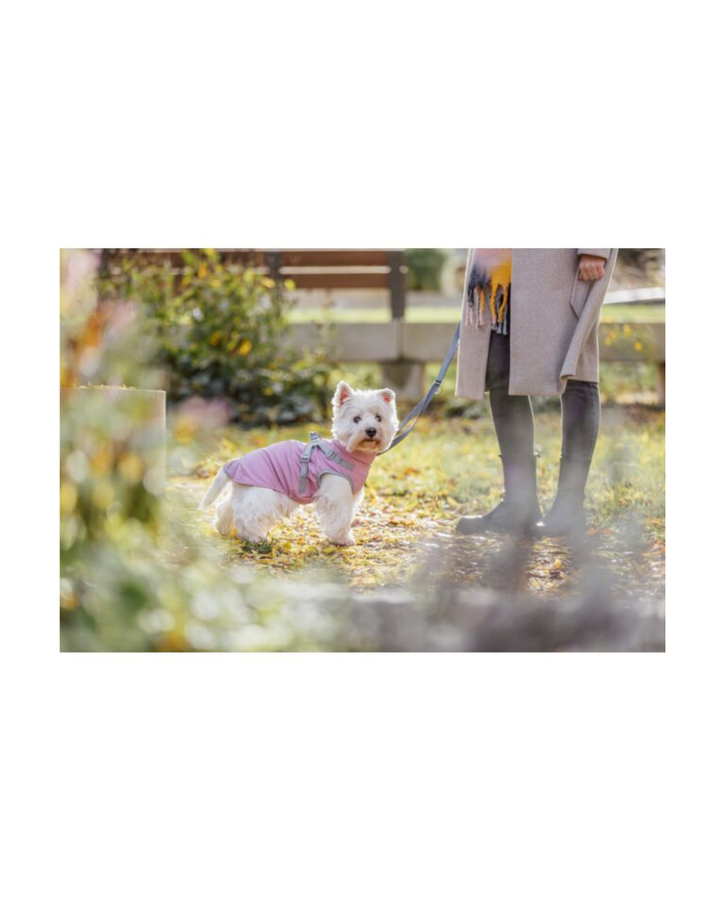 Trixie - Impermeabile Pontis XS 30cm