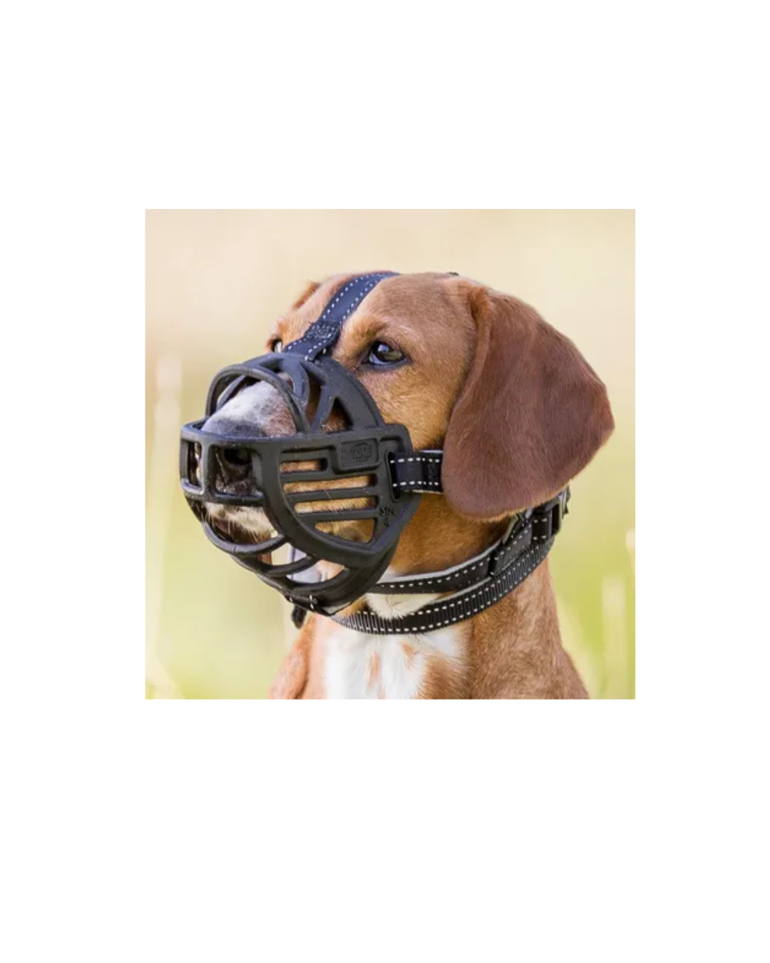 Trixie - Museruola Flex Muzzle Taglia S (Circonferenza Interna 20 cm)