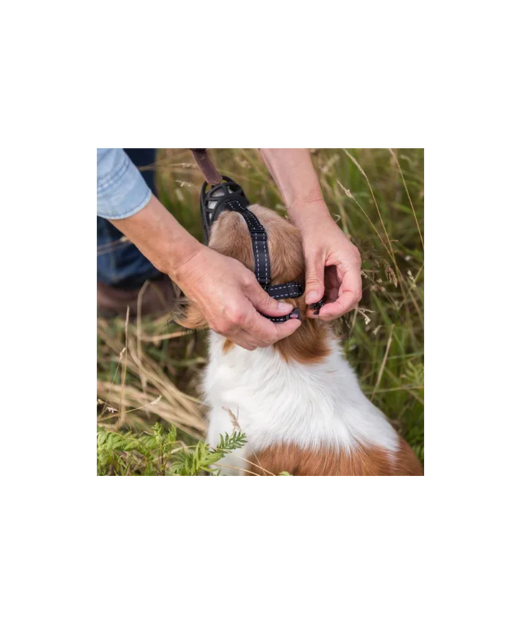 Trixie - Museruola Flex Muzzle Taglia S (Circonferenza Interna 20 cm)
