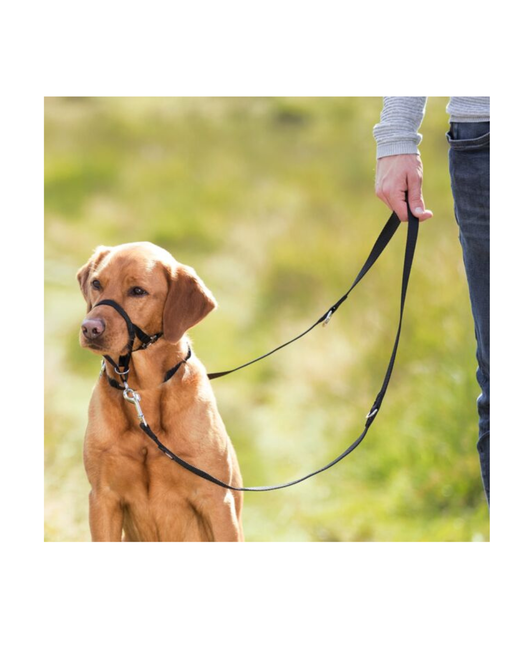 Trixie - Pettorina Top trainer Tg.S 22cm Circonferenza Muso, Nero
