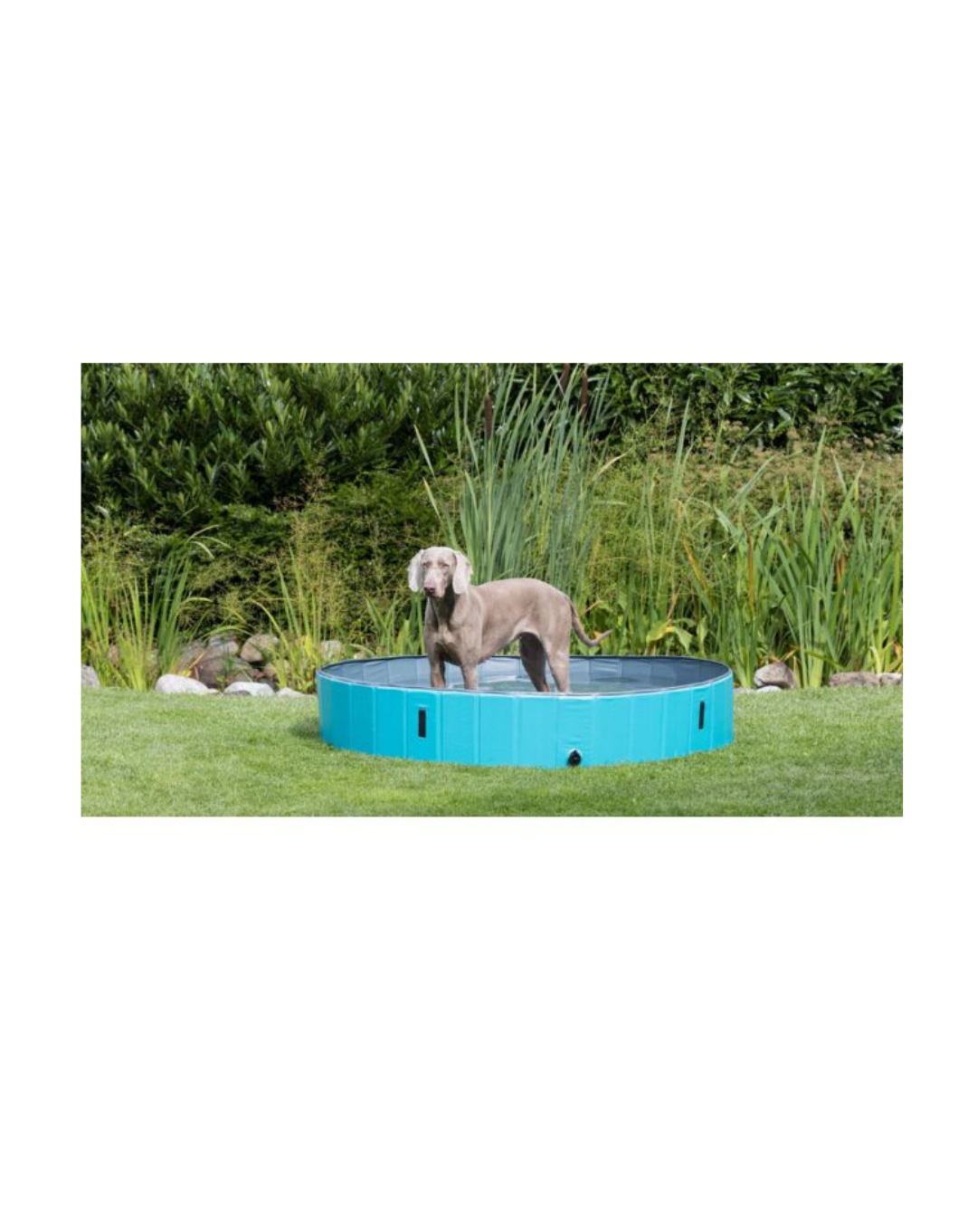 Trixie - Piscina per Cani - 160x30