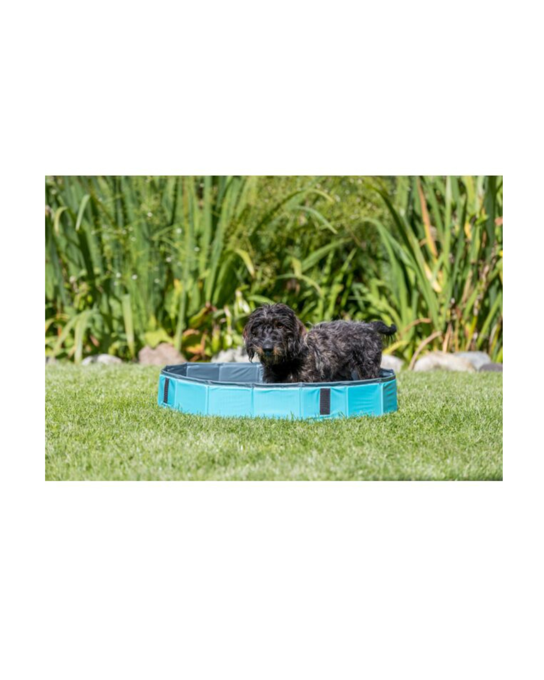 Trixie - Piscina per Cani - 160x30