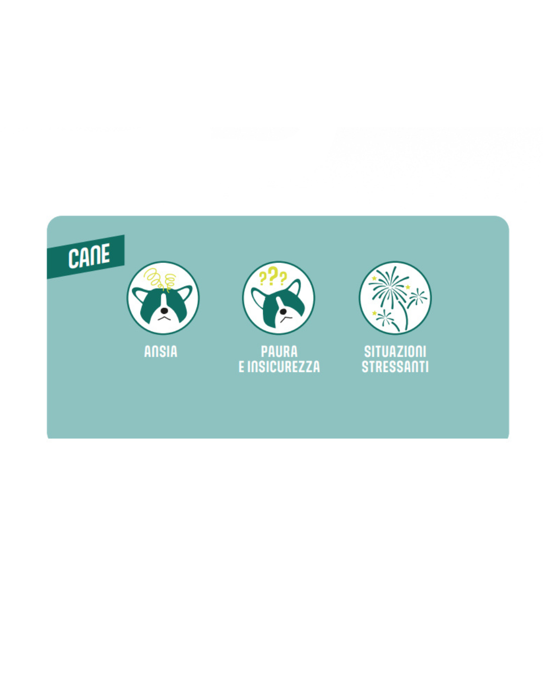 Calmisto - Home Diffusor Starter Pack  Cane 6ml