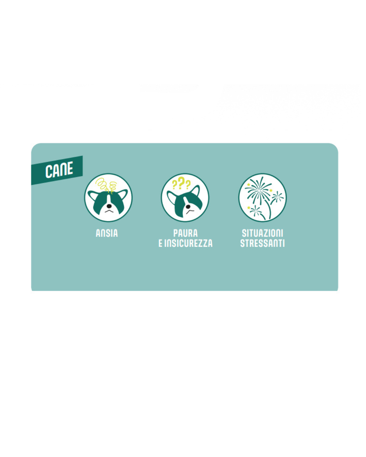 Calmisto - Home Diffusor Starter Pack  Cane 6ml