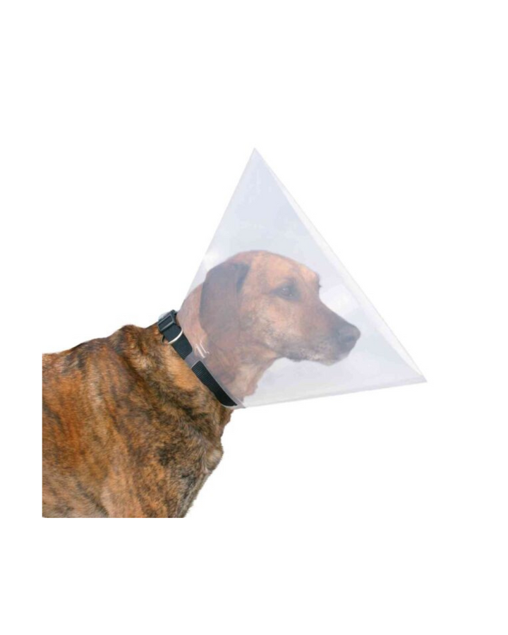 Leopet - Collare Chirurgico Elisabettiano - XL