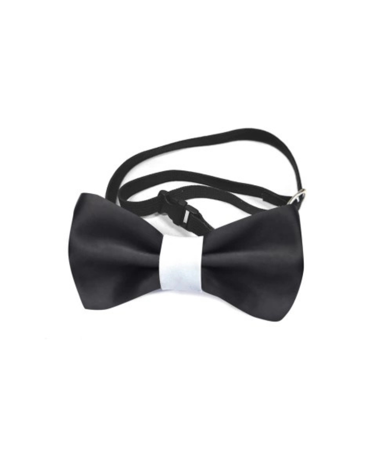 Record Papillon M/L 10cm