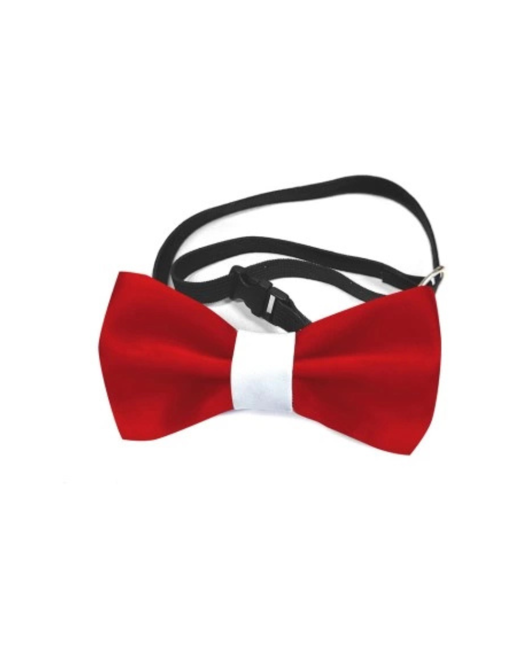 Record Papillon M/L 10cm