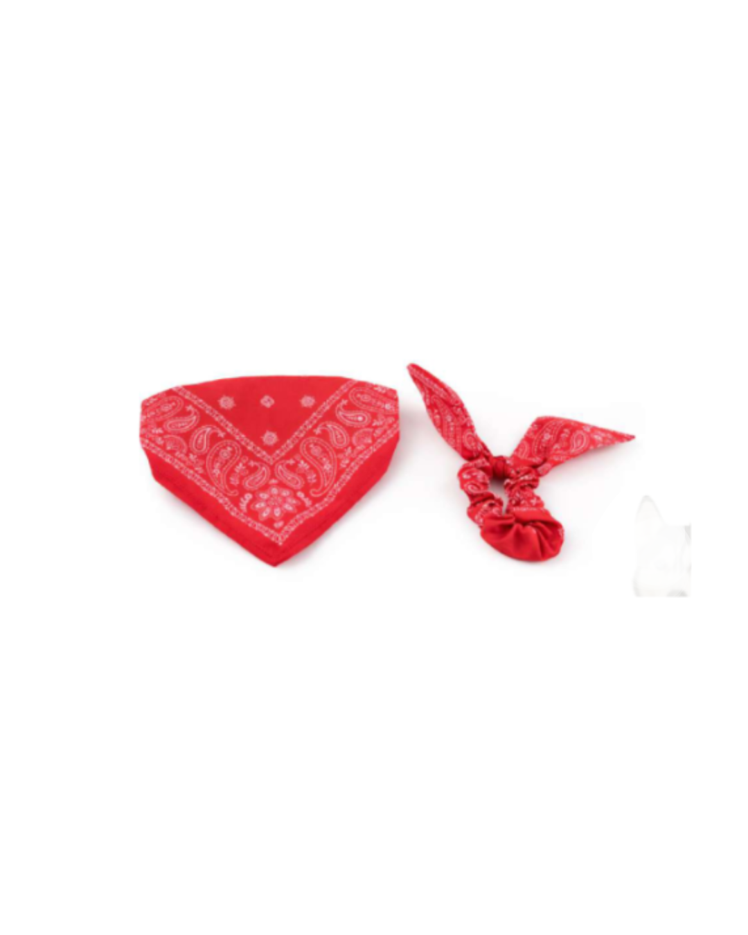 Leopet Twin Look Set - Bandana Per Animali e Accessorio Donna/Uomo - Taglia L
