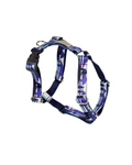 Amiplay - Pettorina ad H Regolabile - Misura S - Colore Trails